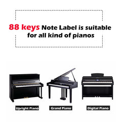 Ready Stock Amazthing 88 Keys Piano / Keyboard Note Label 钢琴音符卡 | Note Guide for Beginner