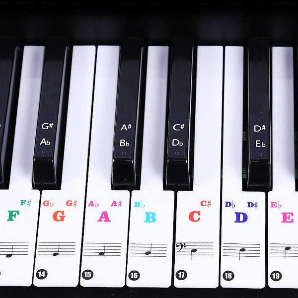 (Ready Stock) Amazthing 37/49/61/76/88 Keys Piano/Keyboards Sticker Removable for Beginner 钢琴键盘贴纸