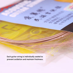 Ready Stock Amazthing A203 Alice Acoustic Guitar String Set (1-6 Strings) Steel Core | Tali Gitar